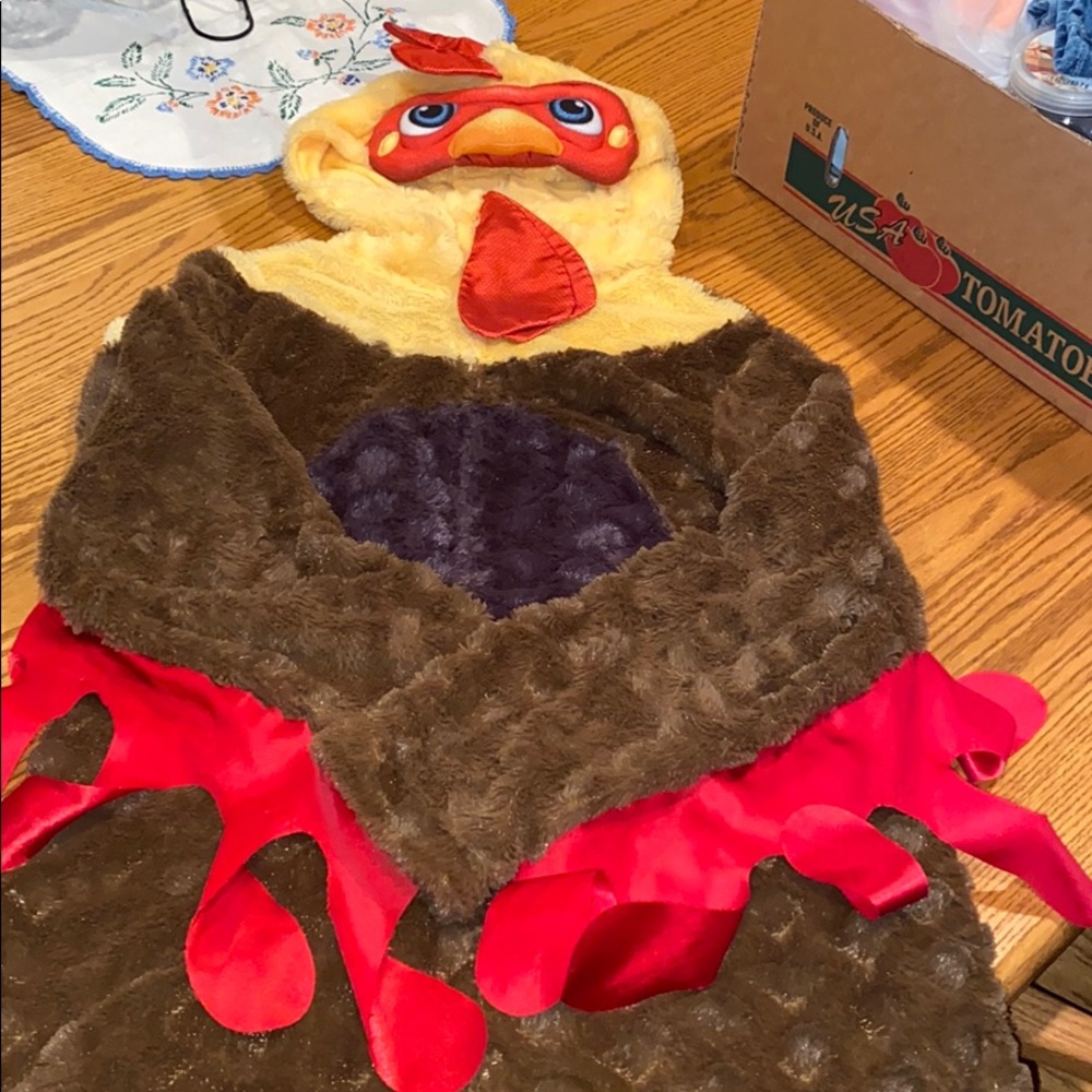 A chicken costume